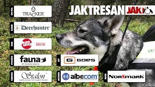 Jaktresan Älgpremiär i Tallsjö [upl. by Annazor]