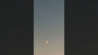 Waxing Crescent Moon or Waning Crescent Mooning [upl. by Peirce]