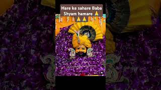 Sanwariya kar do beda paar 🙏🙏shortvideo Khatu Shyam bhajan ytshort youtubeshorts viralvideo [upl. by Ailama]