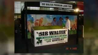 St Augustine Grass Weed Killer For Sir Walter Buffalo Sir Walter Weed Control Sir Walter [upl. by Aloz]