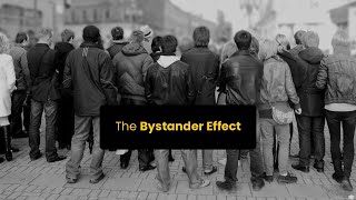 The Bystander Effect  Bibb Latané and John Darley Experiment  Online Docs [upl. by Isabea224]