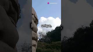 The Mystery of Olmec Colossal Heads shorts history [upl. by Inness]