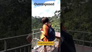 Fix iPhone HDR overexposed problem in Premiere Pro [upl. by Fayina]