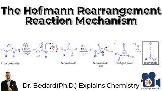 The Hofmann Rearrangement Reaction Mechanism [upl. by Rior]