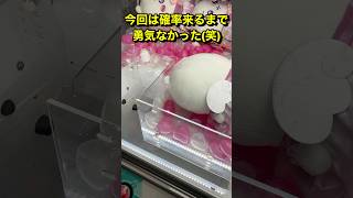 勇気なかった笑ちいかわハチワレうさぎモモンガラッコ鎧さんシーサーあのこオデカニちゃんなかよしUFOキャッチャークレーンゲームshortsスウィートランドミニクレーン [upl. by Garcia289]