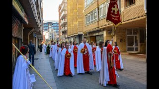 Domingo de Ramos 2024 Palencia [upl. by Baiel753]