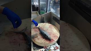 Tuna fish cutting slice seafood fish cooking video [upl. by Mosley]