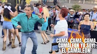 Cama cama cama CAMALEON Yo Soy El CAMALEON 🎵🕺💃👍 [upl. by Junji]