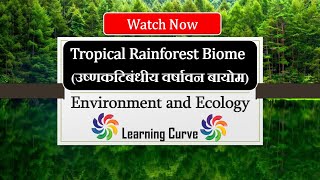 Layers of Tropical Rainforest  उष्ण कटिबंधीय वर्षा वन  Environment and Ecology  upsc  Biomes [upl. by Shurlock]