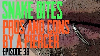 Snake Bite Piercings Pros amp Cons by a Piercer EP 38 [upl. by Eciuqram]