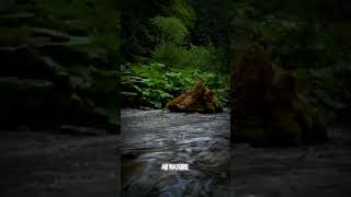 real nature sound nature trendingshorts viral1million shorts shortsfeed ytshorts [upl. by Nottap]