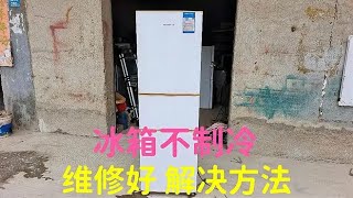 冰箱不制冷，温度控制器有问题，维修好，解决方法数码家电电器 [upl. by Beutler]