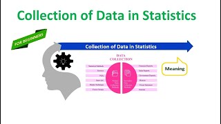 Collection of Data in Statistics [upl. by Acsehcnarf]