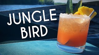 JUNGLE BIRD COCKTAIL  Easy Tiki Cocktails and Home  Robs Home Bar [upl. by Anilatac]