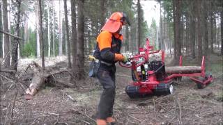 Järnhästen Skogens mångsysslare Jagamedhasse [upl. by Dud333]