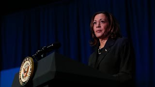 Republicanos de Florida reaccionan a la posible nominación de Kamala Harris [upl. by Ignazio254]