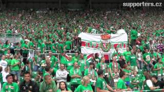 Slask Wroclaw  Ruch Chorzów Support Slasku [upl. by Secilu]