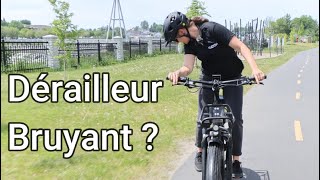 Ajuster Un Dérailleur Arrière Sur Un Vélo [upl. by Adnat455]