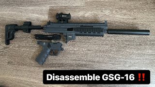 How to Disassemble GSG16 [upl. by Aicatsue]