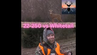 My Wife used the 22250 to Hunt Whitetail  Nebraska Firearm Season 2022 [upl. by Erdua750]