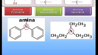 função organica amina parte 7 [upl. by Ylrrad587]