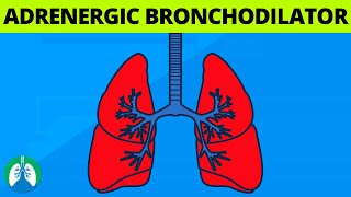 What is an Adrenergic Bronchodilator 💊  Medical Definition [upl. by Ytram613]