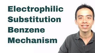 Electrophilic Substitution Benzene Mechanism  Organic Chem [upl. by Drye]