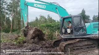 Exca Tools is working on the Gays peatland projectMajidexca2314 youtubecreators [upl. by Anastase]