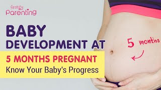 5 Month Pregnant  Know the Baby Development [upl. by Ashti]