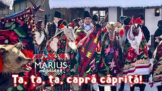 Marius Zgâianu Ța ța ța capră căpriță [upl. by Hasila]