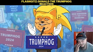 Flashgitz Donald The Trumphog Reaction [upl. by Kcirdnekel543]