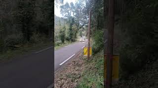 rallye du var  1 Léo Rossel [upl. by Nairim]