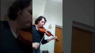 Seybold Arthur violin study 17 Op182 [upl. by Euseibbob994]