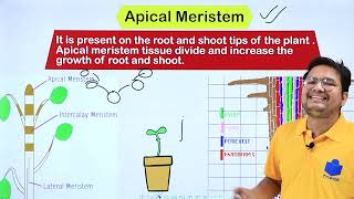 CLASS 9 SCIENCE  CHAPTER 6 Tissues  PART 1  TNEOSEDUSOL [upl. by Lanni315]