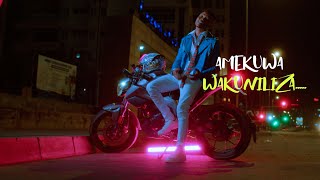 Aslam Tz  Wakuniliza Official Video Lyrics [upl. by Aneek580]