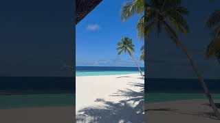 Angaga Island Resort and Spa Maldives maldives beach amazing [upl. by Bensky]