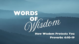 How Wisdom Protects You Proverbs 41019 [upl. by Jepson]