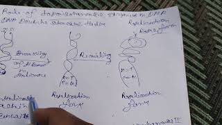 Role of topoisomerase enzyme in DNA Replication [upl. by Litta]