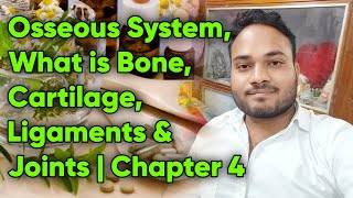 Osseous System What is Bone Cartilage Ligaments amp Joints  Chapter 4 [upl. by Ttekcirc]