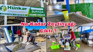 243 Kilo Zeytinden Bakın Kaç Kilo Zeytinyağı Çıktı  Osmaniye Sumbas [upl. by Edmead]