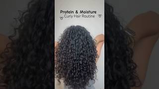 Protein amp Moisture Curly Hair Routine [upl. by Imit620]