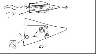 Neurobiology Lecture 5 Adler et al 1991 [upl. by Vallie]