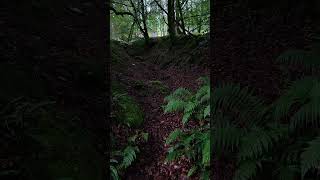 Ireland 🇮🇪 hike with me  asmr hiking ireland [upl. by Hashum609]