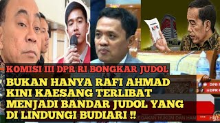 KOMISI III DPR RI KAESANG TERLIBAT JADI BANDAR JUDOL amp BUDIARI SEGERA TANGKAP [upl. by Schulman]