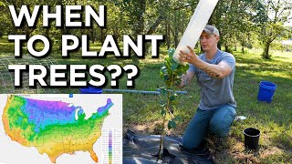 Optimal Tree Planting Time Based on Hardiness Zones [upl. by Oibaf]