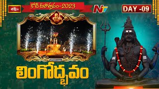 Lingodbhavam  Lingodbhava Stotram At 9th Day Koti Deepotsavam 2023  Ntv [upl. by Oralia]