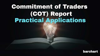 Commitment of Traders COT Report  Practical Applications [upl. by Seaden]