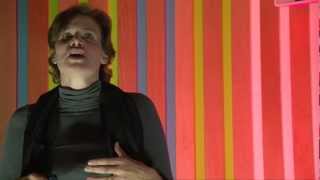 TEDxSussexUniversity  Mariana Mazzucato  The Entrepreneurial State [upl. by Tamma]