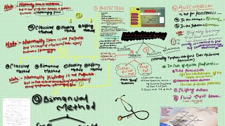 CLINICAL EXAMINATION OF ABDOMEN  SYSTEMIC EXAMINATION PART1 [upl. by Assille]