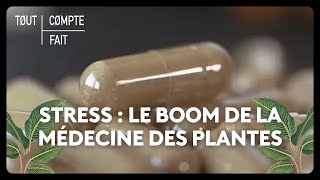 Stress  le boom de la médecine des plantes [upl. by Atteuqihc]